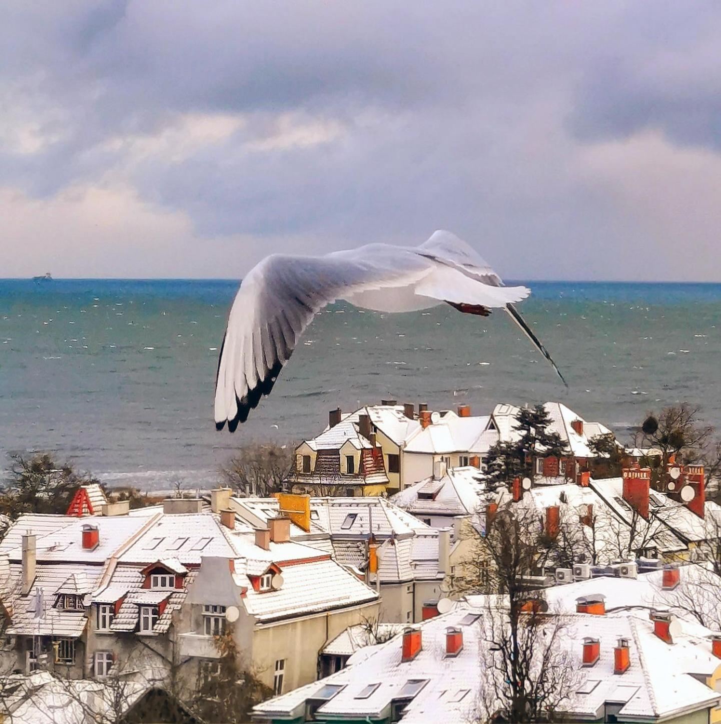Pokoje Przy Plazy Z Widokiem Na Morze Sopot Exterior photo